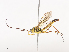  ( - CBG-A41839-E04)  @11 [ ] CreativeCommons - Attribution Share - Alike (2024) CBG Photography Group Centre for Biodiversity Genomics