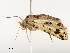  ( - CBG-A54500-A04)  @11 [ ] CreativeCommons - Attribution Share - Alike (2024) CBG Photography Group Centre for Biodiversity Genomics