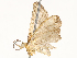  ( - CBG-A58562-C10)  @11 [ ] CreativeCommons - Attribution Share - Alike (2024) CBG Photography Group Centre for Biodiversity Genomics