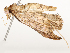  ( - CBG-A54416-B11)  @11 [ ] CreativeCommons - Attribution Share - Alike (2024) CBG Photography Group Centre for Biodiversity Genomics