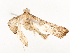  ( - CBG-A54416-C03)  @11 [ ] CreativeCommons - Attribution Share - Alike (2024) CBG Photography Group Centre for Biodiversity Genomics