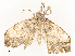  ( - CBG-A58572-C08)  @11 [ ] CreativeCommons - Attribution Share - Alike (2024) CBG Photography Group Centre for Biodiversity Genomics