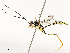  ( - CBG-A58572-H08)  @11 [ ] CreativeCommons - Attribution Share - Alike (2024) CBG Photography Group Centre for Biodiversity Genomics
