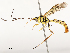  ( - CBG-A58573-A08)  @11 [ ] CreativeCommons - Attribution Share - Alike (2024) CBG Photography Group Centre for Biodiversity Genomics