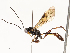 ( - CBG-A58573-C02)  @11 [ ] CreativeCommons - Attribution Share - Alike (2024) CBG Photography Group Centre for Biodiversity Genomics