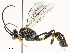  ( - CBG-A58573-D05)  @11 [ ] CreativeCommons - Attribution Share - Alike (2024) CBG Photography Group Centre for Biodiversity Genomics