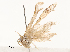  ( - CBG-A58573-E07)  @11 [ ] CreativeCommons - Attribution Share - Alike (2024) CBG Photography Group Centre for Biodiversity Genomics
