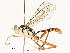  ( - CBG-A58576-E11)  @11 [ ] CreativeCommons - Attribution Share - Alike (2024) CBG Photography Group Centre for Biodiversity Genomics