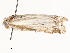  ( - CBG-A58576-F02)  @11 [ ] CreativeCommons - Attribution Share - Alike (2024) CBG Photography Group Centre for Biodiversity Genomics
