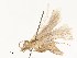  ( - CBG-A58576-G03)  @11 [ ] CreativeCommons - Attribution Share - Alike (2024) CBG Photography Group Centre for Biodiversity Genomics