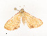  ( - CBG-A58609-A03)  @11 [ ] CreativeCommons - Attribution Share - Alike (2025) CBG Photography Group Centre for Biodiversity Genomics
