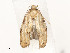  ( - CBG-A58609-A10)  @11 [ ] CreativeCommons - Attribution Share - Alike (2025) CBG Photography Group Centre for Biodiversity Genomics