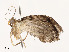  ( - CBG-A58609-A11)  @11 [ ] CreativeCommons - Attribution Share - Alike (2025) CBG Photography Group Centre for Biodiversity Genomics
