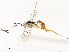  ( - CBG-A58625-D11)  @11 [ ] CreativeCommons - Attribution Share - Alike (2024) CBG Photography Group Centre for Biodiversity Genomics