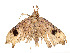  ( - CBG-A58625-E01)  @11 [ ] CreativeCommons - Attribution Share - Alike (2024) CBG Photography Group Centre for Biodiversity Genomics