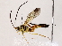  ( - BIOUG62728-E02)  @11 [ ] CreativeCommons - Attribution (2022) CBG Photography Group Centre for Biodiversity Genomics