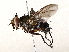  ( - BIOUG62728-H06)  @11 [ ] CreativeCommons - Attribution (2022) CBG Photography Group Centre for Biodiversity Genomics