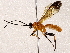  ( - BIOUG73025-E05)  @11 [ ] CreativeCommons - Attribution (2021) CBG Photography Group Centre for Biodiversity Genomics