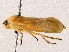  ( - BIOUG73025-G06)  @11 [ ] CreativeCommons - Attribution (2021) CBG Photography Group Centre for Biodiversity Genomics