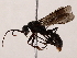  ( - BIOUG73026-G08)  @11 [ ] CreativeCommons - Attribution (2021) CBG Photography Group Centre for Biodiversity Genomics