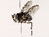  ( - BIOUG73027-D11)  @11 [ ] CreativeCommons - Attribution (2022) CBG Photography Group Centre for Biodiversity Genomics