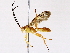  ( - BIOUG73028-B06)  @11 [ ] CreativeCommons - Attribution (2022) CBG Photography Group Centre for Biodiversity Genomics