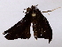  ( - BIOUG73028-G02)  @11 [ ] CreativeCommons - Attribution (2022) CBG Photography Group Centre for Biodiversity Genomics
