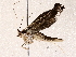  ( - BIOUG73029-C02)  @11 [ ] CreativeCommons - Attribution (2022) CBG Photography Group Centre for Biodiversity Genomics