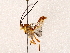  ( - BIOUG73029-E05)  @11 [ ] CreativeCommons - Attribution (2022) CBG Photography Group Centre for Biodiversity Genomics