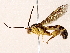 ( - BIOUG73029-E06)  @11 [ ] CreativeCommons - Attribution (2022) CBG Photography Group Centre for Biodiversity Genomics