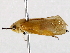  ( - BIOUG73648-G01)  @11 [ ] CreativeCommons - Attribution (2021) CBG Photography Group Centre for Biodiversity Genomics