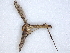  ( - BIOUG73648-H06)  @11 [ ] CreativeCommons - Attribution (2021) CBG Photography Group Centre for Biodiversity Genomics