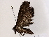  ( - BIOUG76502-D01)  @11 [ ] CreativeCommons - Attribution (2022) CBG Photography Group Centre for Biodiversity Genomics