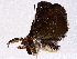  ( - BIOUG76503-C02)  @11 [ ] CreativeCommons - Attribution (2022) CBG Photography Group Centre for Biodiversity Genomics