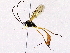  ( - BIOUG76503-D10)  @11 [ ] CreativeCommons - Attribution (2022) CBG Photography Group Centre for Biodiversity Genomics