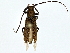  ( - BIOUG77721-B05)  @11 [ ] CreativeCommons - Attribution (2022) CBG Photography Group Centre for Biodiversity Genomics