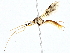  ( - BIOUG77755-D07)  @11 [ ] CreativeCommons - Attribution (2022) CBG Photography Group Centre for Biodiversity Genomics