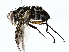  ( - BIOUG77756-F05)  @11 [ ] CreativeCommons - Attribution (2022) CBG Photography Group Centre for Biodiversity Genomics