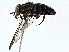  ( - BIOUG77721-C09)  @11 [ ] CreativeCommons - Attribution (2022) CBG Photography Group Centre for Biodiversity Genomics