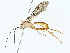  ( - BIOUG77721-C11)  @11 [ ] CreativeCommons - Attribution (2022) CBG Photography Group Centre for Biodiversity Genomics