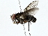 ( - BIOUG77721-E06)  @11 [ ] CreativeCommons - Attribution (2022) CBG Photography Group Centre for Biodiversity Genomics