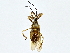  ( - BIOUG77721-E10)  @11 [ ] CreativeCommons - Attribution (2022) CBG Photography Group Centre for Biodiversity Genomics