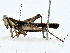  ( - BIOUG77722-B05)  @11 [ ] CreativeCommons - Attribution (2022) CBG Photography Group Centre for Biodiversity Genomics