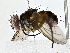  ( - BIOUG77740-G02)  @11 [ ] CreativeCommons - Attribution (2022) CBG Photography Group Centre for Biodiversity Genomics