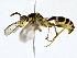  ( - BIOUG77740-G12)  @11 [ ] CreativeCommons - Attribution (2022) CBG Photography Group Centre for Biodiversity Genomics