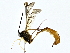  ( - BIOUG77758-E09)  @11 [ ] CreativeCommons - Attribution (2022) CBG Photography Group Centre for Biodiversity Genomics