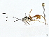  ( - BIOUG77758-F05)  @11 [ ] CreativeCommons - Attribution (2022) CBG Photography Group Centre for Biodiversity Genomics