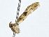  ( - BIOUG77758-G11)  @11 [ ] CreativeCommons - Attribution (2022) CBG Photography Group Centre for Biodiversity Genomics