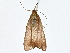  ( - BIOUG77759-D05)  @11 [ ] CreativeCommons - Attribution (2022) CBG Photography Group Centre for Biodiversity Genomics