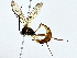  ( - BIOUG77723-G10)  @11 [ ] CreativeCommons - Attribution (2022) CBG Photography Group Centre for Biodiversity Genomics